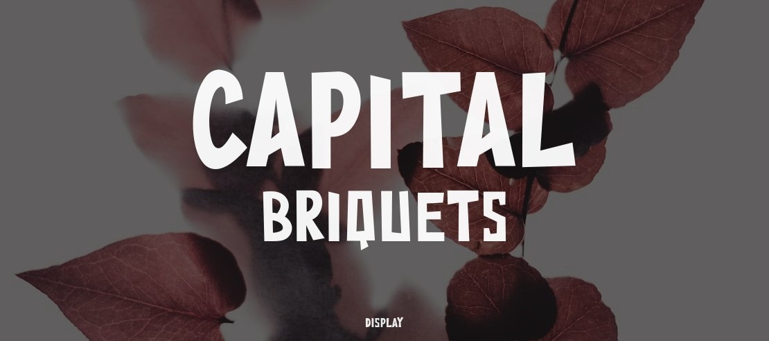 Capital Briquets Font