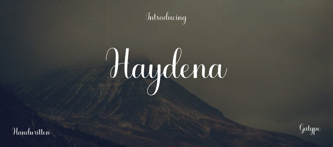 Haydena Font
