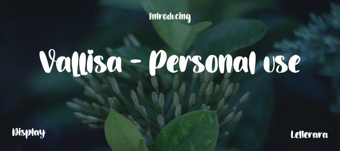 Vallisa - Personal use Font