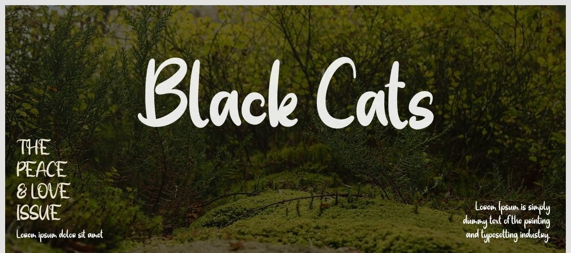 Black Cats Font