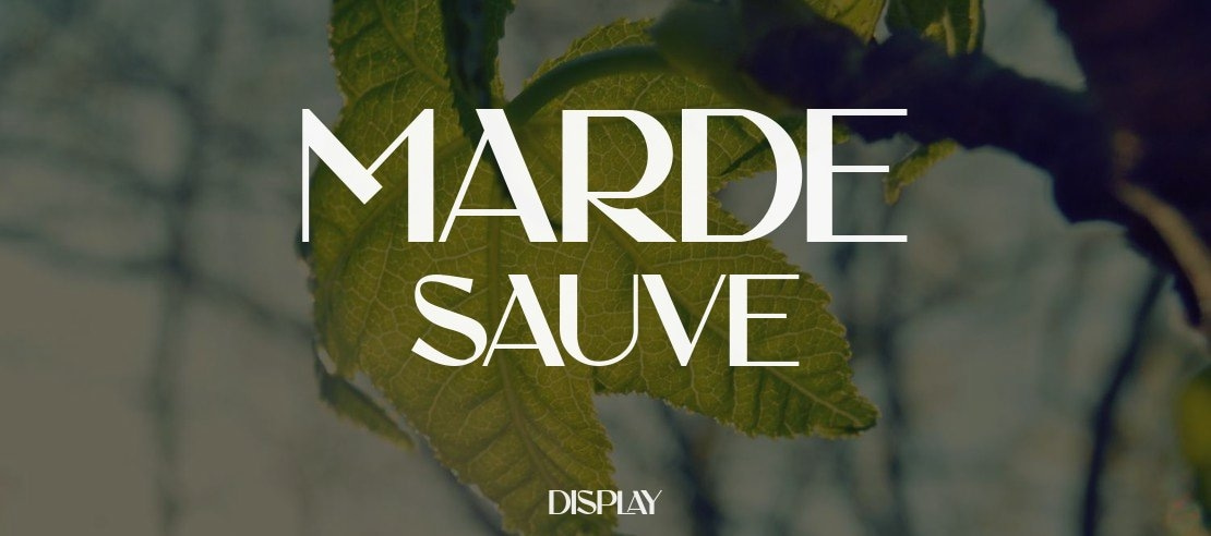 MARDE SAUVE Font