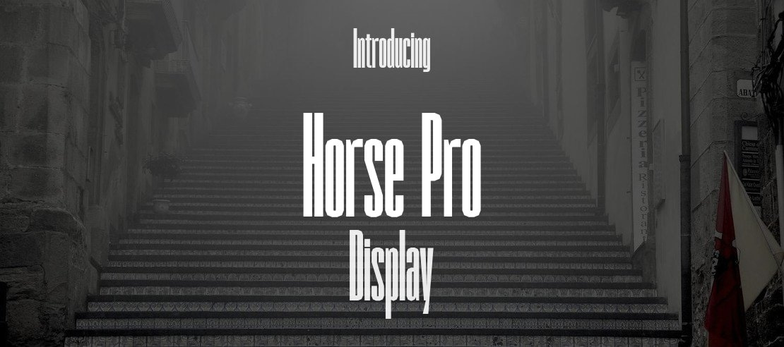 Horse Pro Font