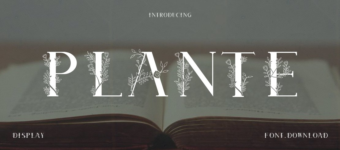 Plante Font