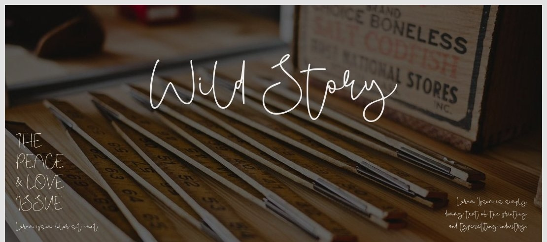 Wild Story Font