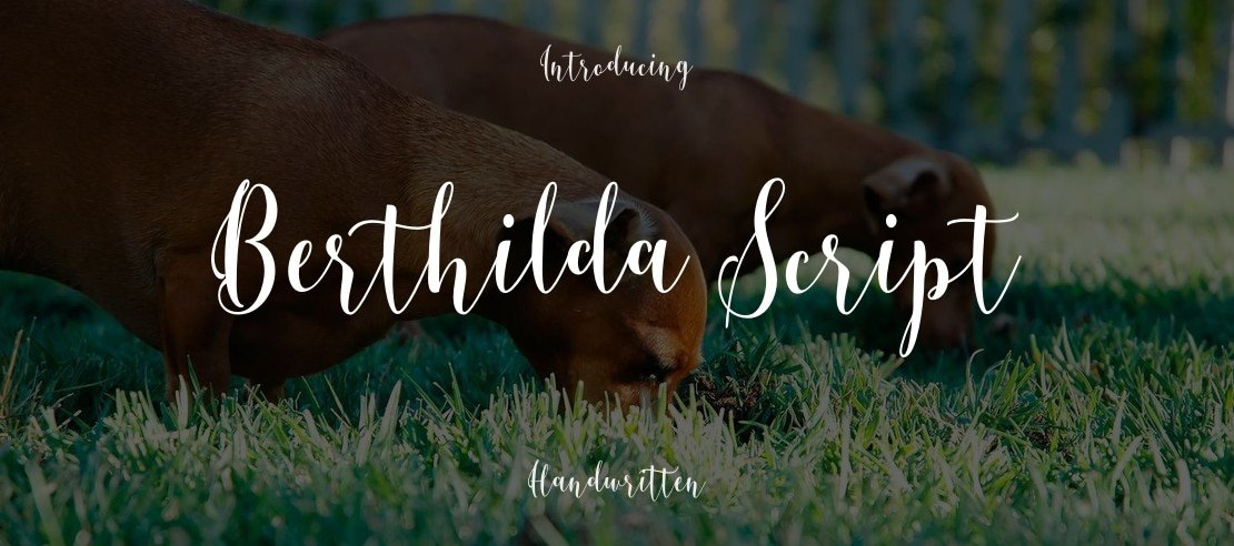 Berthilda Script Font