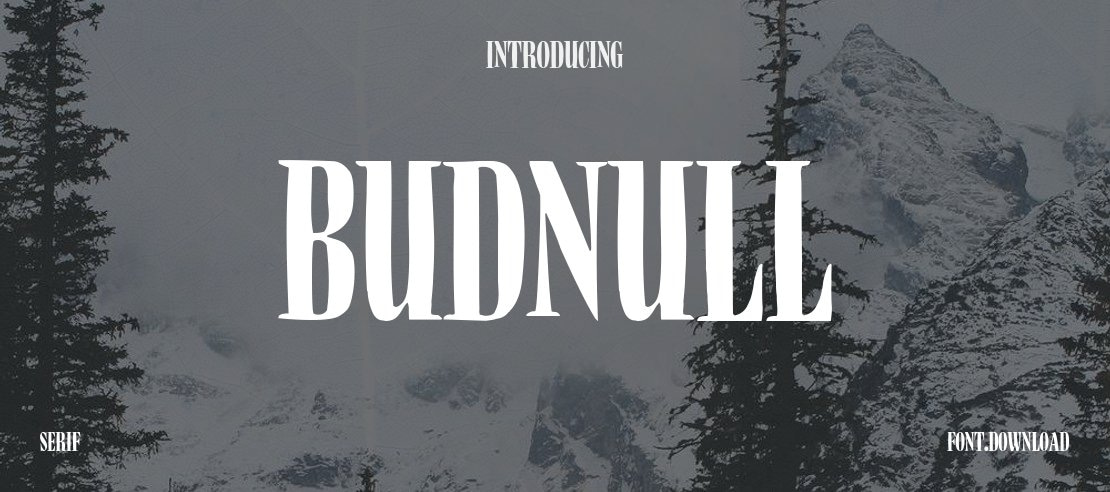 BudNull Font