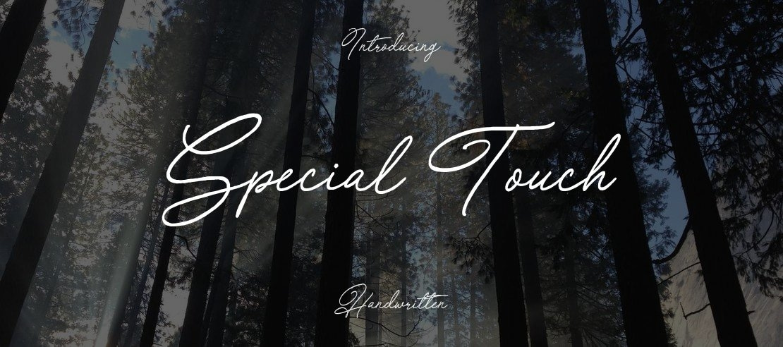 Special Touch Font