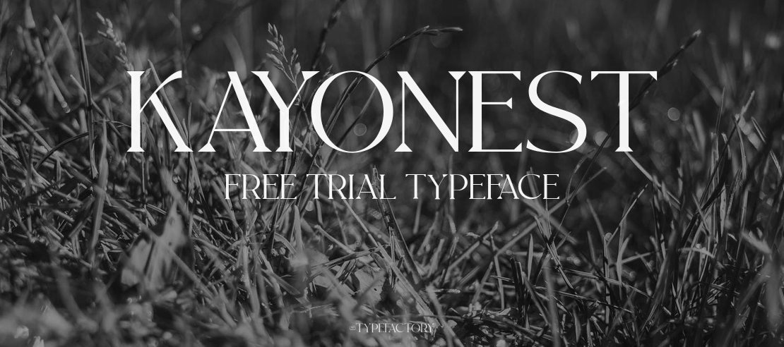 Kayonest Free Trial Font