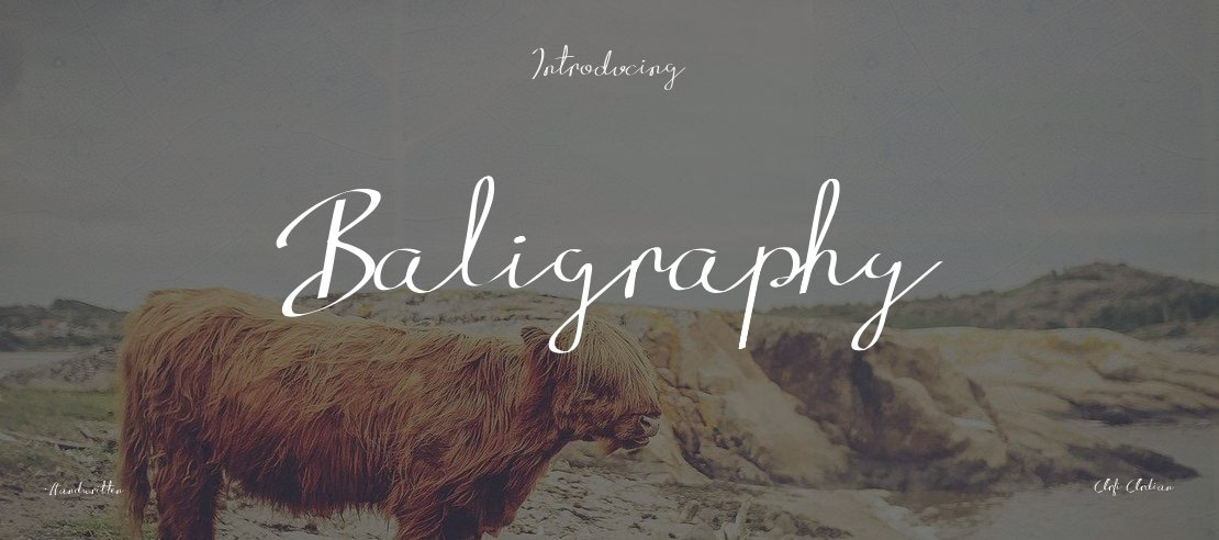 Baligraphy Font