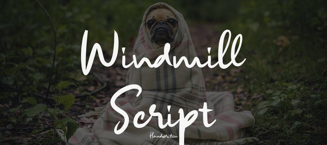 Windmill Script Font