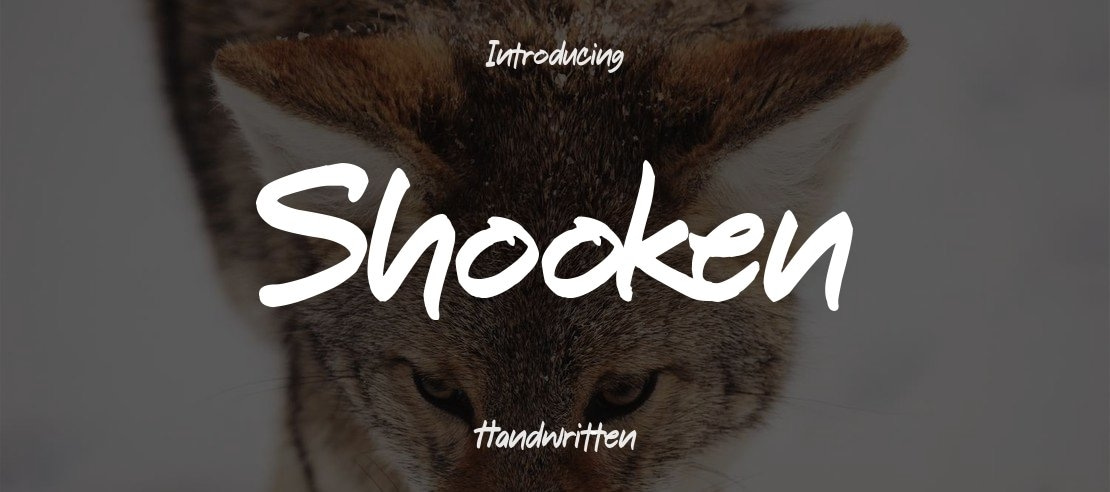 Shooken Font