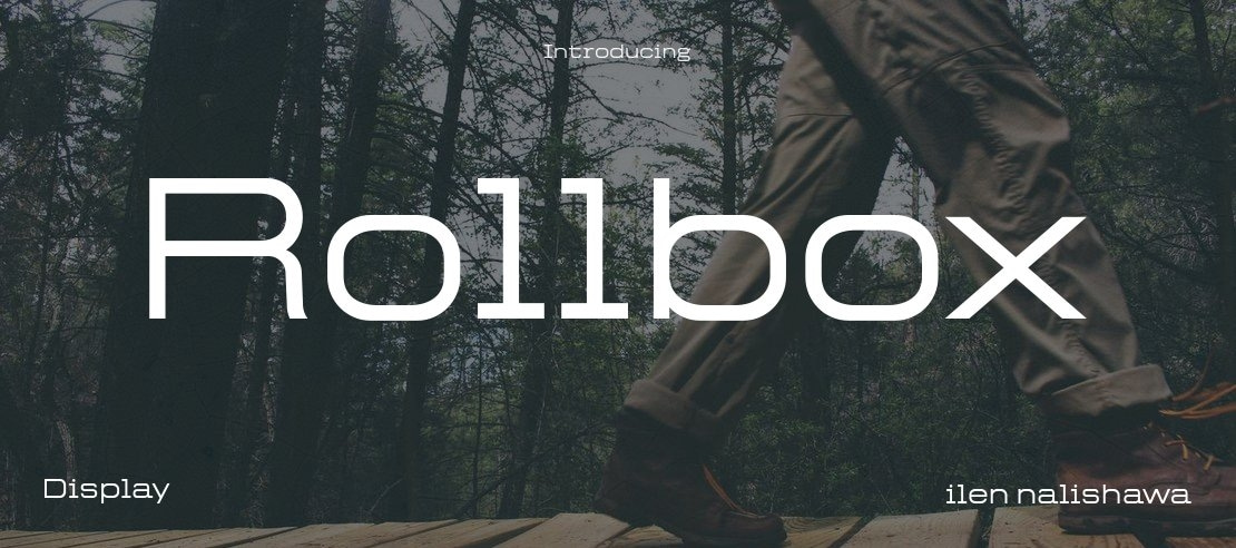 Rollbox Font Family