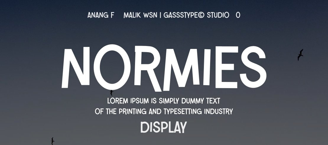 Normies Font