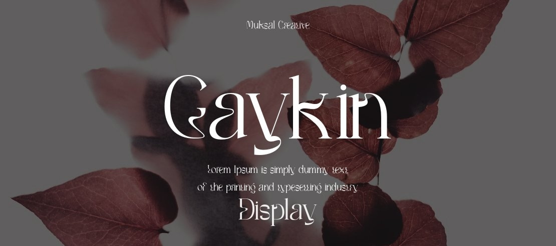 Gaykin Font