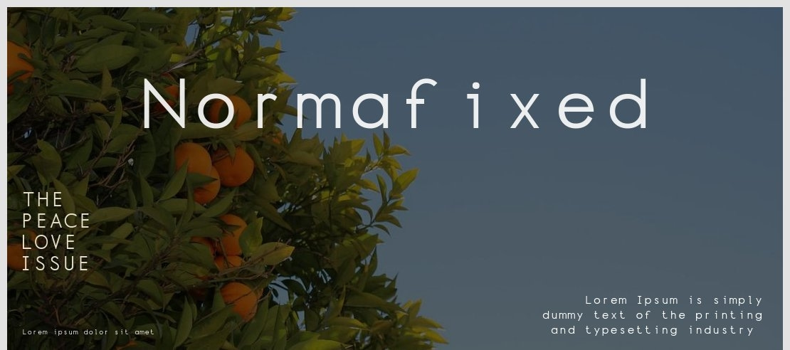 Normafixed Font