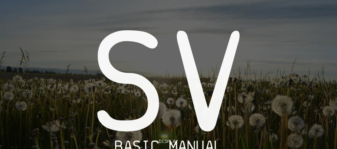 SV Basic Manual Font Family