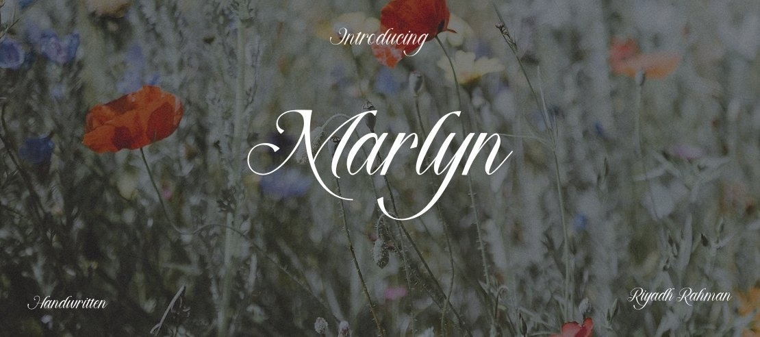 Marlyn Font