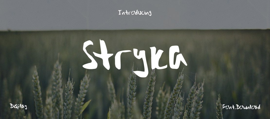 Stryka Font