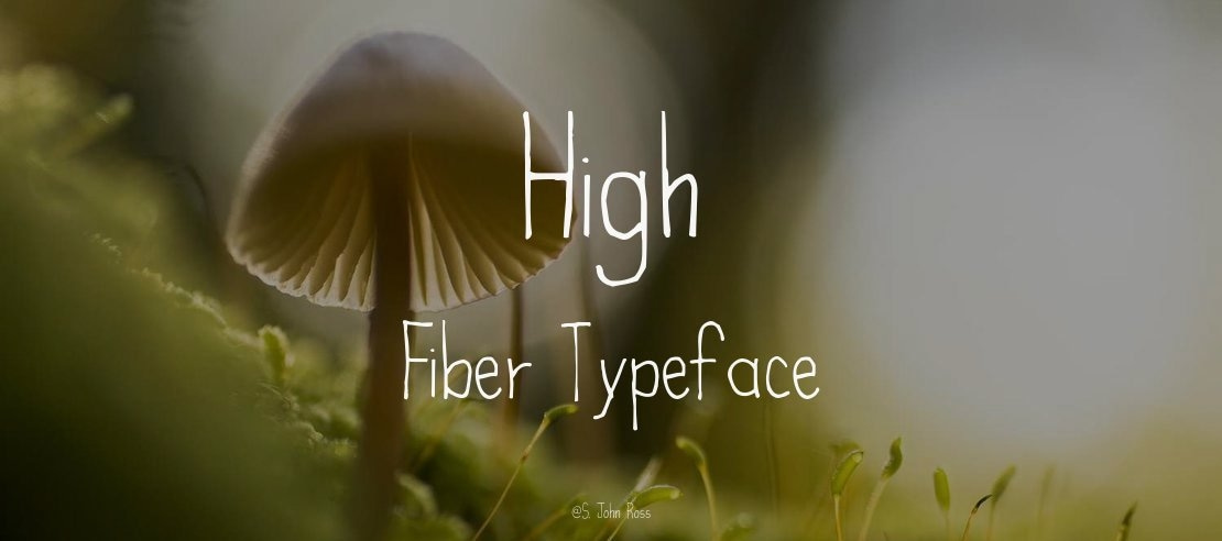 High Fiber Font