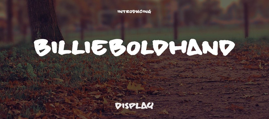 billieBoldHand Font