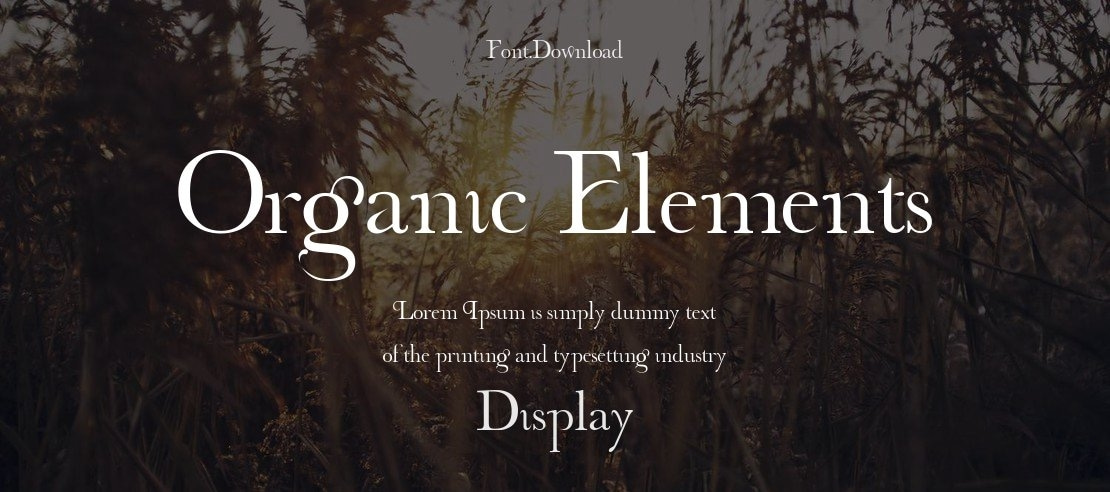 Organic Elements Font