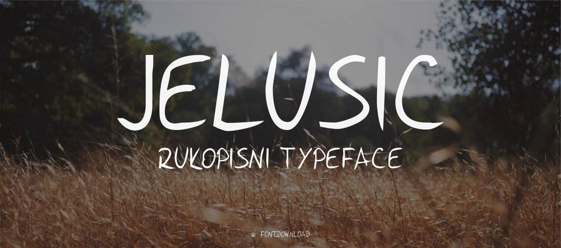 Jelusic Rukopisni Font