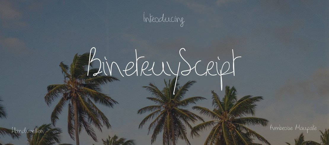 BinetruyScript Font