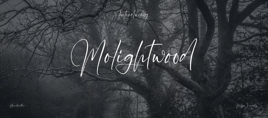 Molightwood Font