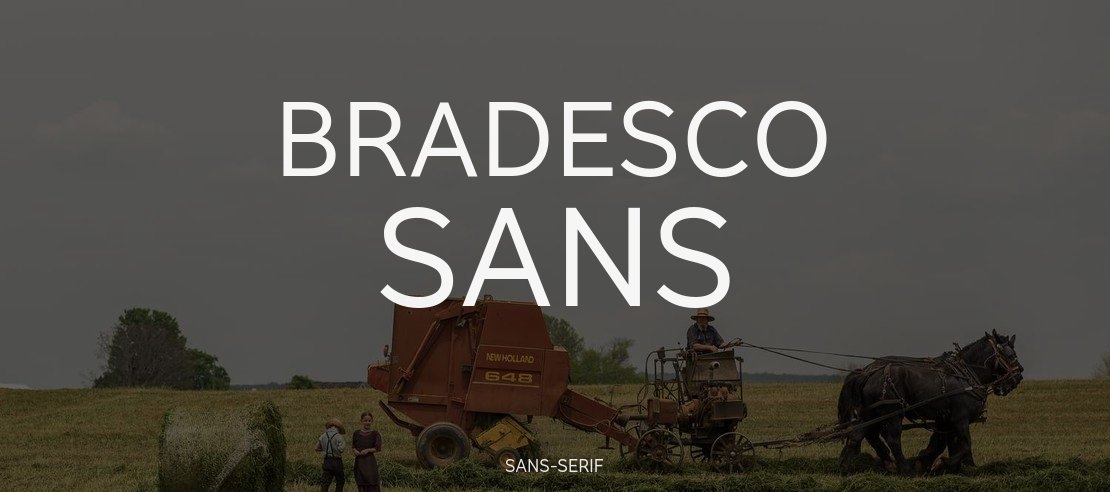 Bradesco Sans Font Family