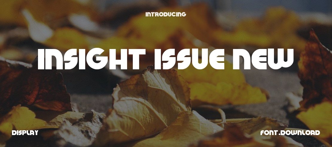 Insight Issue New Font