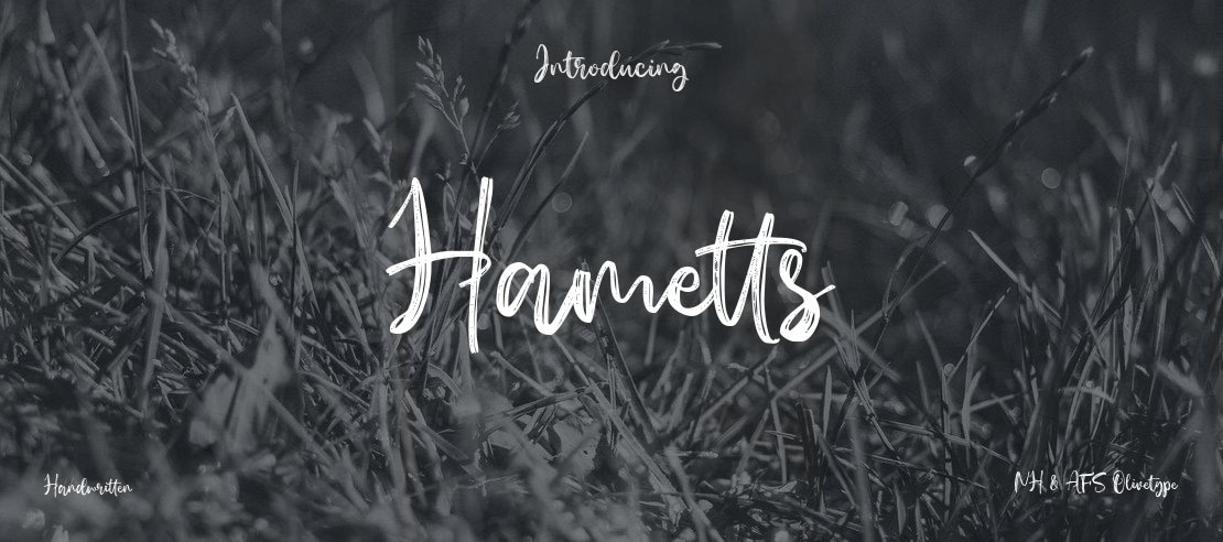 Hametts Font