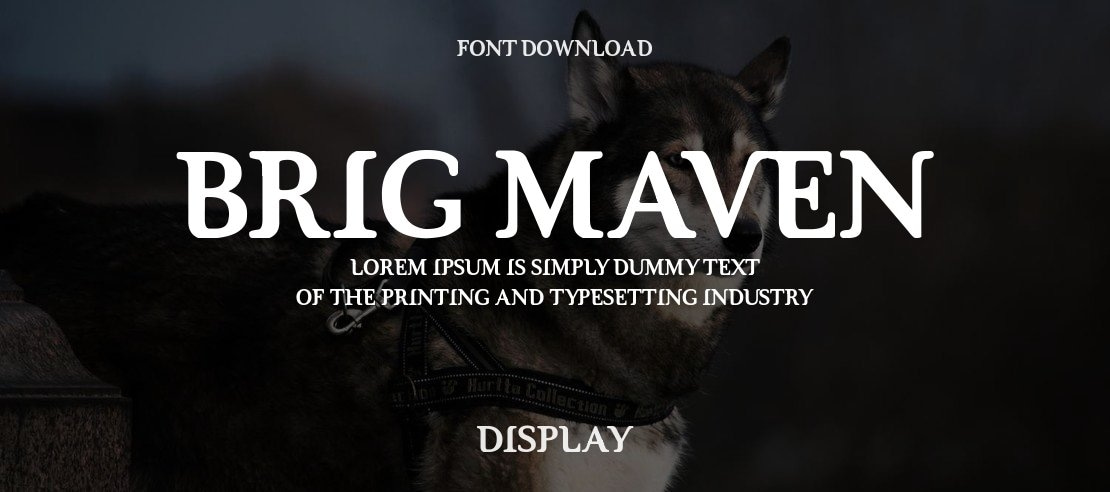 Brig Maven Font