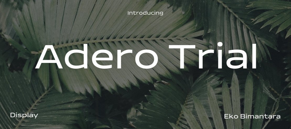 Adero Trial Font Family