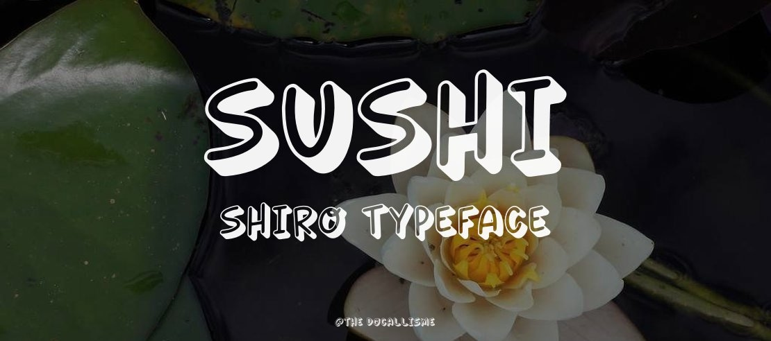 SUSHI SHIRO Font