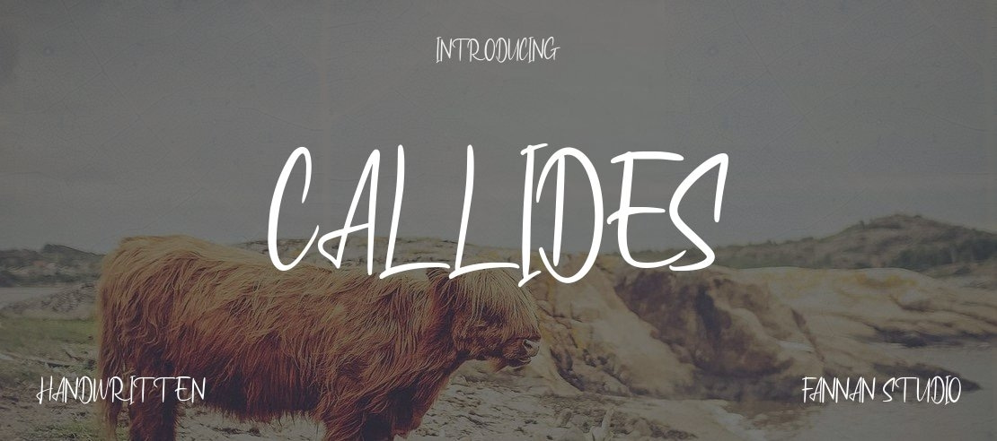 Callides Font