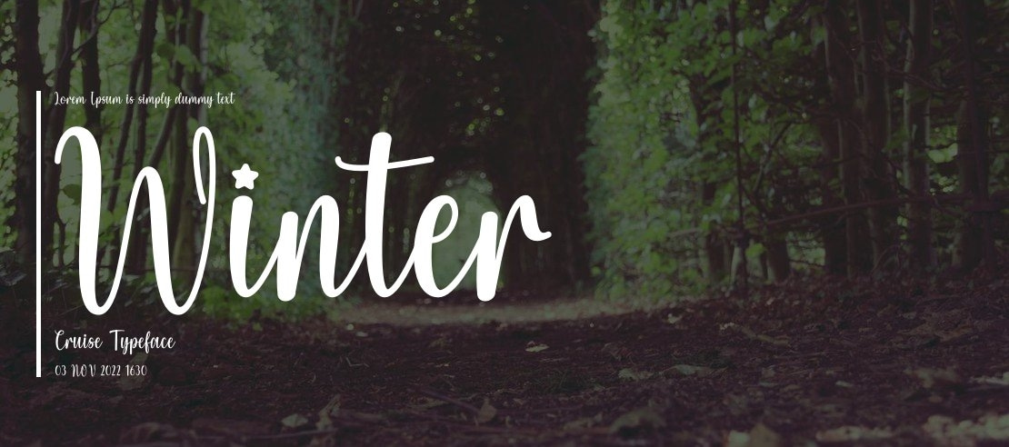 Winter Cruise Font