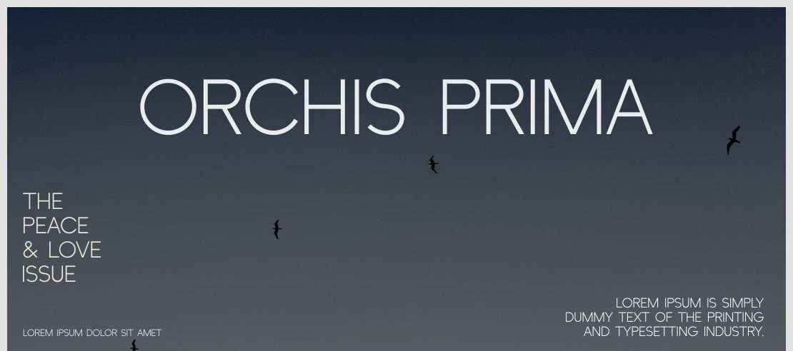 Orchis Prima Font Family