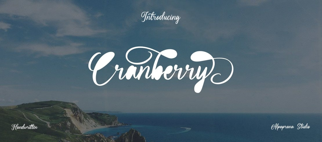 Cranberry Font