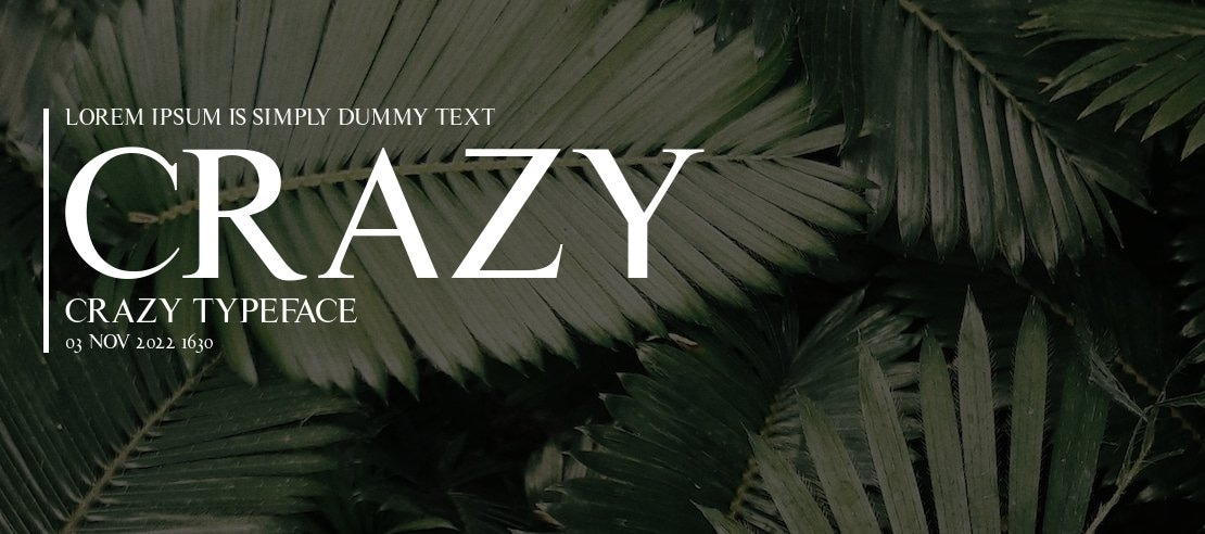 Crazy Crazy Font