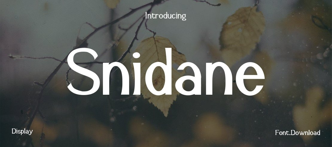 Snidane Font