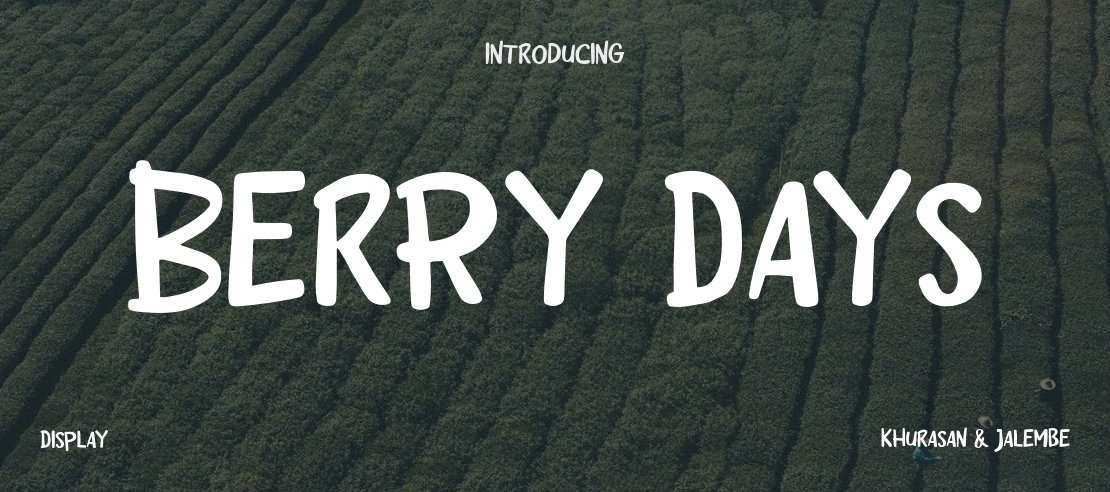 Berry Days Font