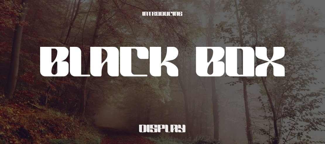 BLACK BOX Font