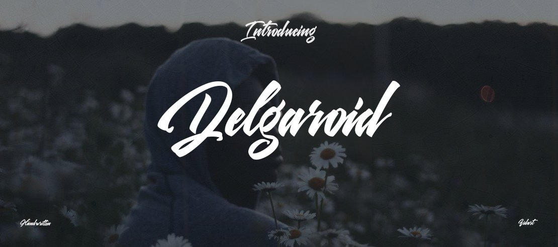 Delgaroid Font