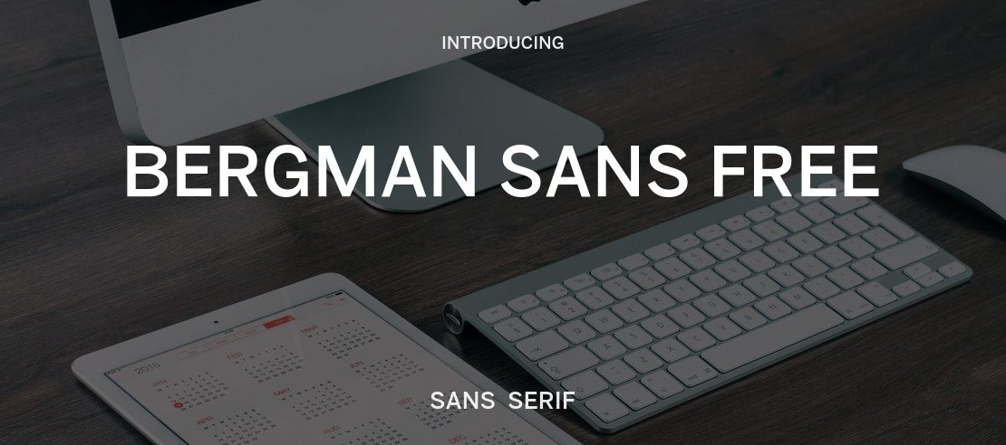 Bergman Sans Free Font