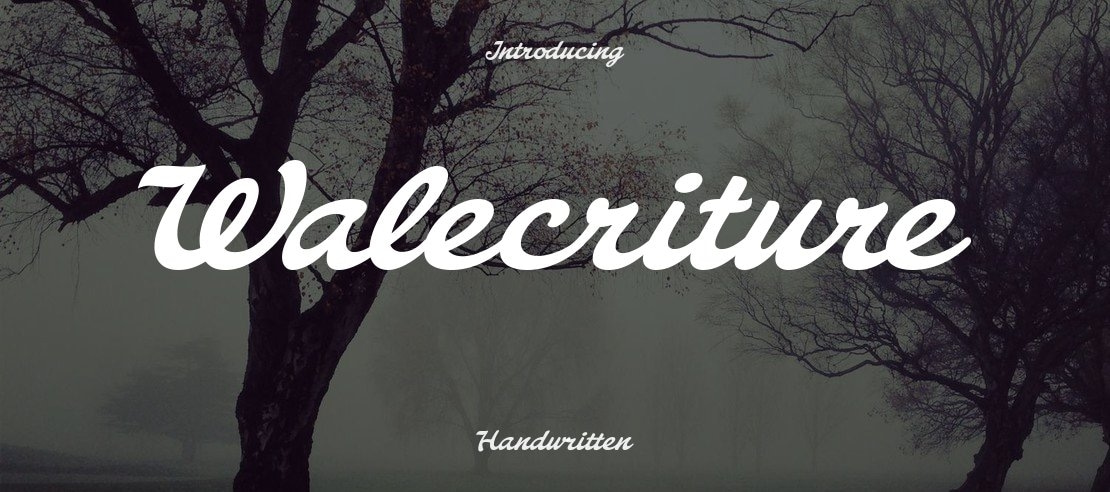 Walecriture Font