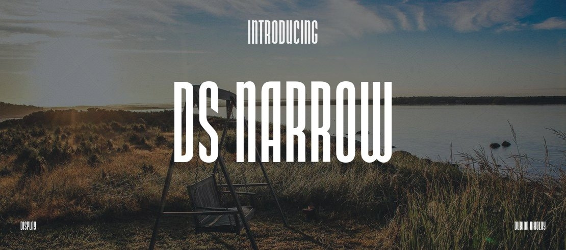 DS Narrow Font