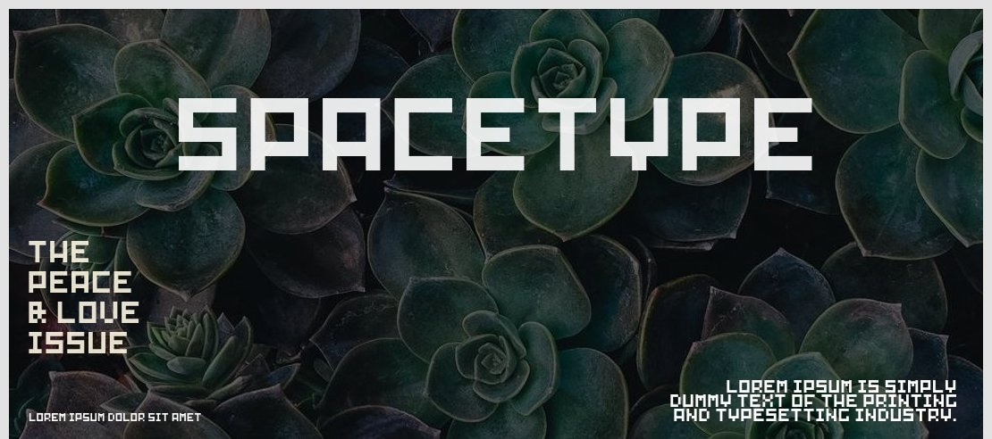 SpaceType Font Family