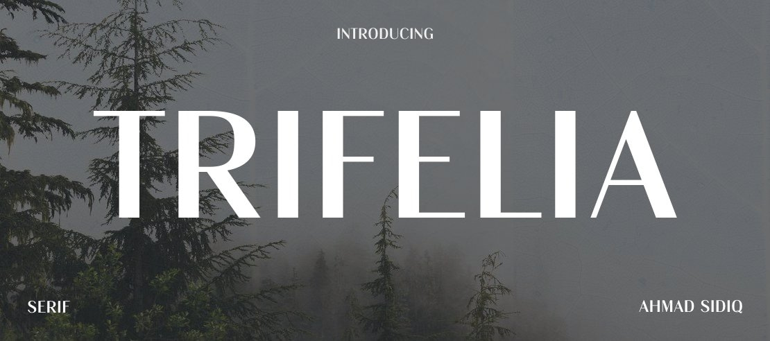 Trifelia Font