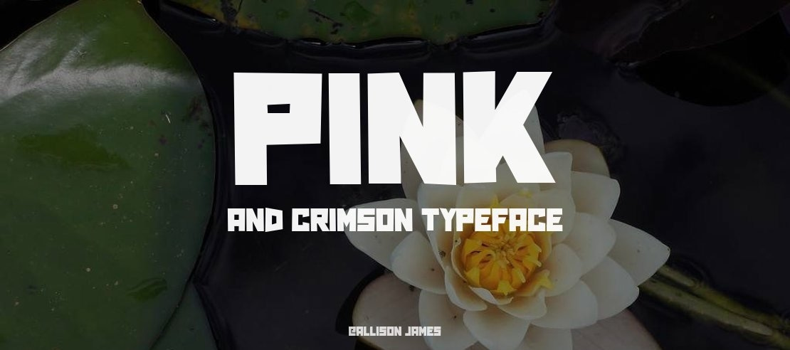 Pink and Crimson Font