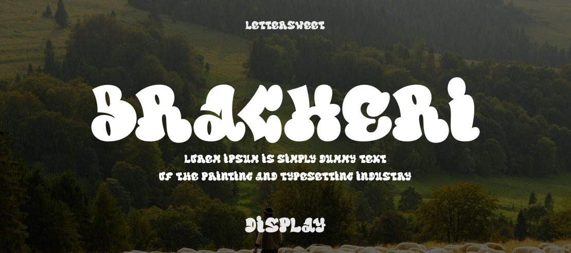 Bracheri Font